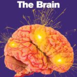 خرید و دانلود نسخه کامل کتاب The Brain: A Beginner’s Guide (Oneworld Beginner’s Guides)