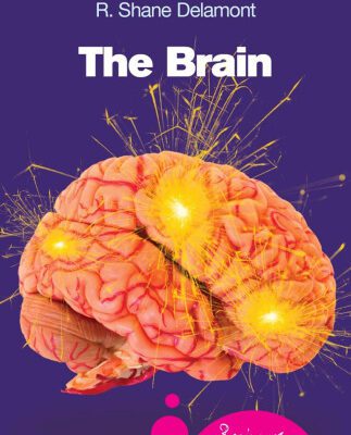 خرید و دانلود نسخه کامل کتاب The Brain: A Beginner’s Guide (Oneworld Beginner’s Guides)