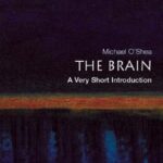 خرید و دانلود نسخه کامل کتاب The Brain. A Very Short Introduction