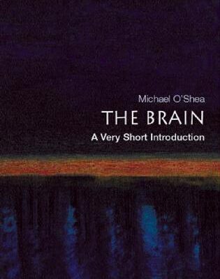 خرید و دانلود نسخه کامل کتاب The Brain. A Very Short Introduction