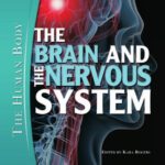 خرید و دانلود نسخه کامل کتاب The Brain and the Nervous System (The Human Body)