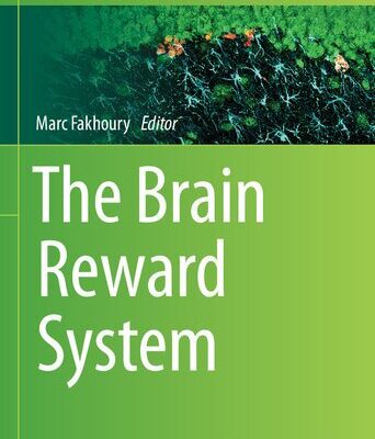 خرید و دانلود نسخه کامل کتاب The Brain Reward System