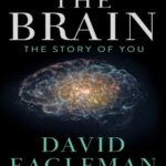 خرید و دانلود نسخه کامل کتاب The Brain: The Story of You