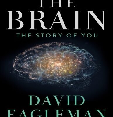 خرید و دانلود نسخه کامل کتاب The Brain: The Story of You