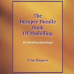 خرید و دانلود نسخه کامل کتاب The Bumper Bundle Book of Modelling