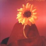 خرید و دانلود نسخه کامل کتاب The C-word: A Story of Cancer