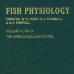 خرید و دانلود نسخه کامل کتاب The Cardiovascular System