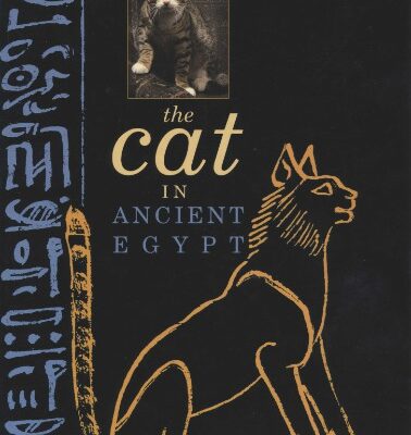 خرید و دانلود نسخه کامل کتاب The Cat in Ancient Egypt