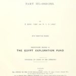 خرید و دانلود نسخه کامل کتاب The Cemeteries of Abydos, 1912-1913