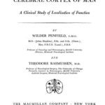 خرید و دانلود نسخه کامل کتاب The cerebral cortex of man: a clinical study of localization of function