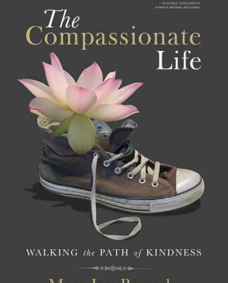 خرید و دانلود نسخه کامل کتاب The Compassionate Life: Walking the Path of Kindness
