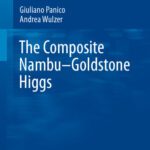 خرید و دانلود نسخه کامل کتاب The Composite Nambu-Goldstone Higgs