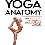 خرید و دانلود نسخه کامل کتاب The Concise Book of Yoga Anatomy An Illustrated Overview to the Science of Activity