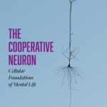 خرید و دانلود نسخه کامل کتاب The Cooperative Neuron: Cellular Foundations of Mental Life