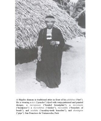 خرید و دانلود نسخه کامل کتاب The cosmic zygote: cosmology in the Amazon Basin