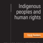 خرید و دانلود نسخه کامل کتاب The Cultural Rights of Indigenous Peoples: In Search of a Glass-Ball Country (Melland Schill Studies in International Law)