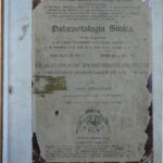 خرید و دانلود نسخه کامل کتاب The dentition of Sinanthropus pekinensis;: A comparative odontography of the hominids, ( China. Geological survey  Palaeontologia sinica, new ser. D)