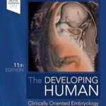 خرید و دانلود نسخه کامل کتاب The Developing Human (11th Edition) BY Moore-  +  Pdf