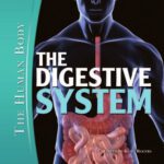 خرید و دانلود نسخه کامل کتاب The Digestive System (The Human Body)