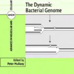 خرید و دانلود نسخه کامل کتاب The Dynamic Bacterial Genome (Advances in Molecular and Cellular Microbiology)