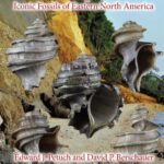 خرید و دانلود نسخه کامل کتاب The Ecphoras: Iconic Fossils of Eastern North America