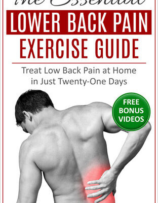 خرید و دانلود نسخه کامل کتاب The Essential Lower Back Pain Exercise Guide: Treat Low Back Pain at Home in Just Twenty-One Days