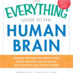 خرید و دانلود نسخه کامل کتاب The Everything Guide to the Human Brain: Journey Through the Parts of the Brain, Discover How It Works, and Improve Your Brain’s Health