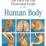 خرید و دانلود نسخه کامل کتاب The Facts on File Illustrated Guide to the Human Body: Digestive System