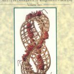 خرید و دانلود نسخه کامل کتاب The False Prison: A Study of the Development of Wittgenstein’s Philosophy Volume 2