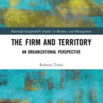 خرید و دانلود نسخه کامل کتاب The Firm and Territory: An Organizational Perspective
