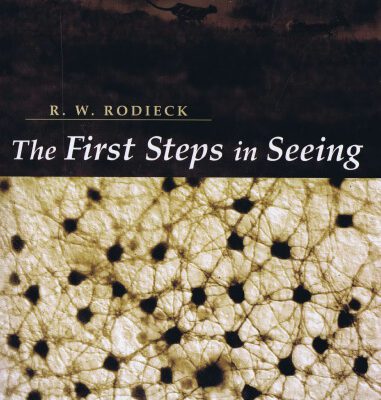 خرید و دانلود نسخه کامل کتاب The First Steps in Seeing
