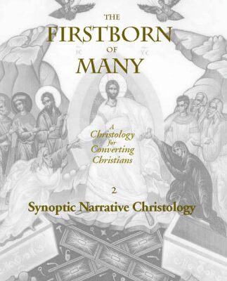 خرید و دانلود نسخه کامل کتاب The Firstborn of Many Vol. 2, Synoptic Narrative Christology (Marquette Studies in Theology, #20.)