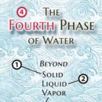 خرید و دانلود نسخه کامل کتاب The Fourth Phase of Water: Beyond Solid, Liquid, and Vapor