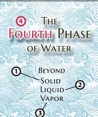 خرید و دانلود نسخه کامل کتاب The Fourth Phase of Water: Beyond Solid, Liquid, and Vapor