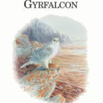 خرید و دانلود نسخه کامل کتاب The Gyrfalcon (Poyser Monographs)