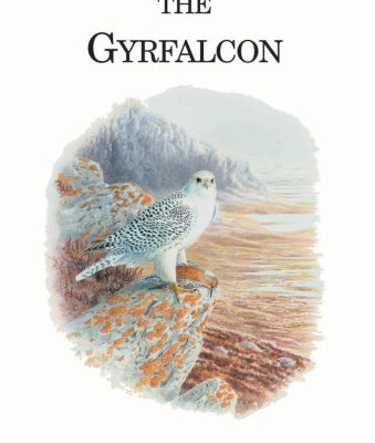 خرید و دانلود نسخه کامل کتاب The Gyrfalcon (Poyser Monographs)