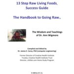 خرید و دانلود نسخه کامل کتاب The Handbook to Going Raw