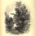 خرید و دانلود نسخه کامل کتاب The Homes of the New World; Impressions of America