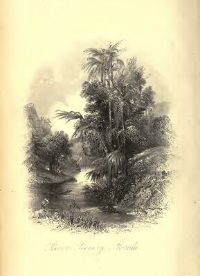 خرید و دانلود نسخه کامل کتاب The Homes of the New World; Impressions of America