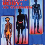 خرید و دانلود نسخه کامل کتاب The Human Body: An Overview (21st Century Health and Wellness)