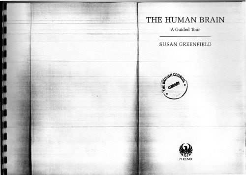 خرید و دانلود نسخه کامل کتاب The Human Brain. A Guided Tour_68bb24dba034d.jpeg خرید و دانلود نسخه کامل کتاب The Human Brain. A Guided Tour