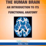 خرید و دانلود نسخه کامل کتاب The Human Brain: An Introduction to its Functional Anatomy