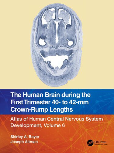 خرید و دانلود نسخه کامل کتاب The Human Brain during the First Trimester 40- to 42-mm Crown-Rump Lengths: Atlas of Human Central Nervous System Development_68b60a691d698.jpeg خرید و دانلود نسخه کامل کتاب The Human Brain during the First Trimester 40- to 42-mm Crown-Rump Lengths: Atlas of Human Central Nervous System Development