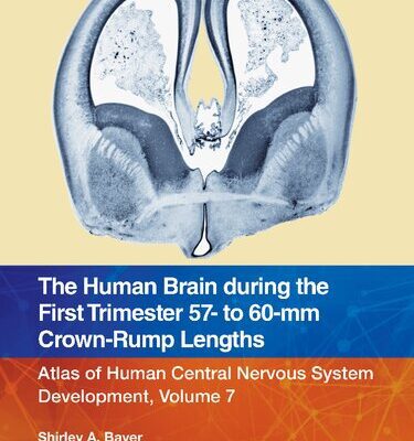 خرید و دانلود نسخه کامل کتاب The Human Brain during the First Trimester 57- to 60-mm Crown-Rump Lengths