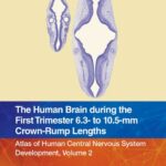 خرید و دانلود نسخه کامل کتاب The Human Brain during the First Trimester 6.3- to 10.5-mm Crown-Rump Lengths