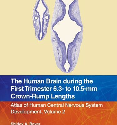 خرید و دانلود نسخه کامل کتاب The Human Brain during the First Trimester 6.3- to 10.5-mm Crown-Rump Lengths