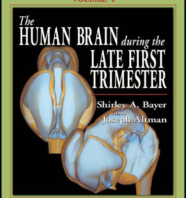 خرید و دانلود نسخه کامل کتاب The Human Brain During the Late First Trimester (Atlas of Human Central Nervous System Development, Volume 4)