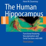 خرید و دانلود نسخه کامل کتاب The human hippocampus: functional anatomy, vascularization, and serial sections with MRI