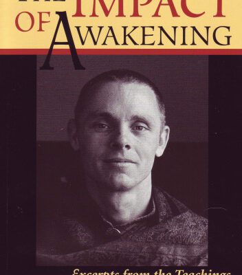خرید و دانلود نسخه کامل کتاب The Impact of Awakening: Excerpts From the Teachings of Adyashanti