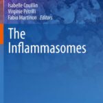 خرید و دانلود نسخه کامل کتاب The Inflammasomes